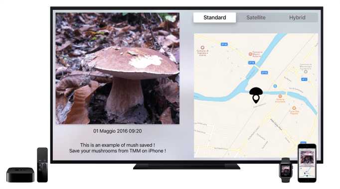 fungoTv per blog.png