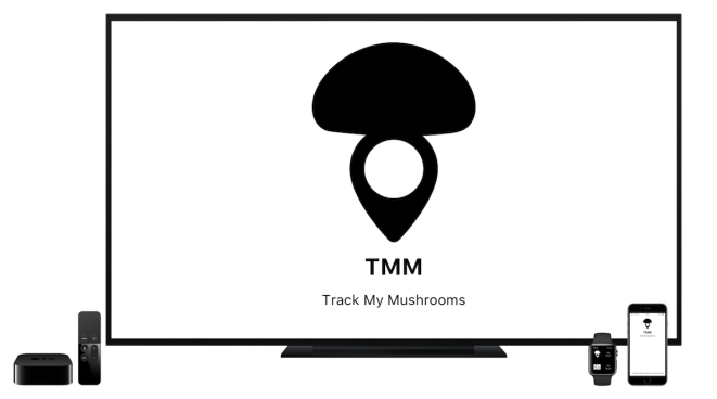 testata-tmm-per-blog